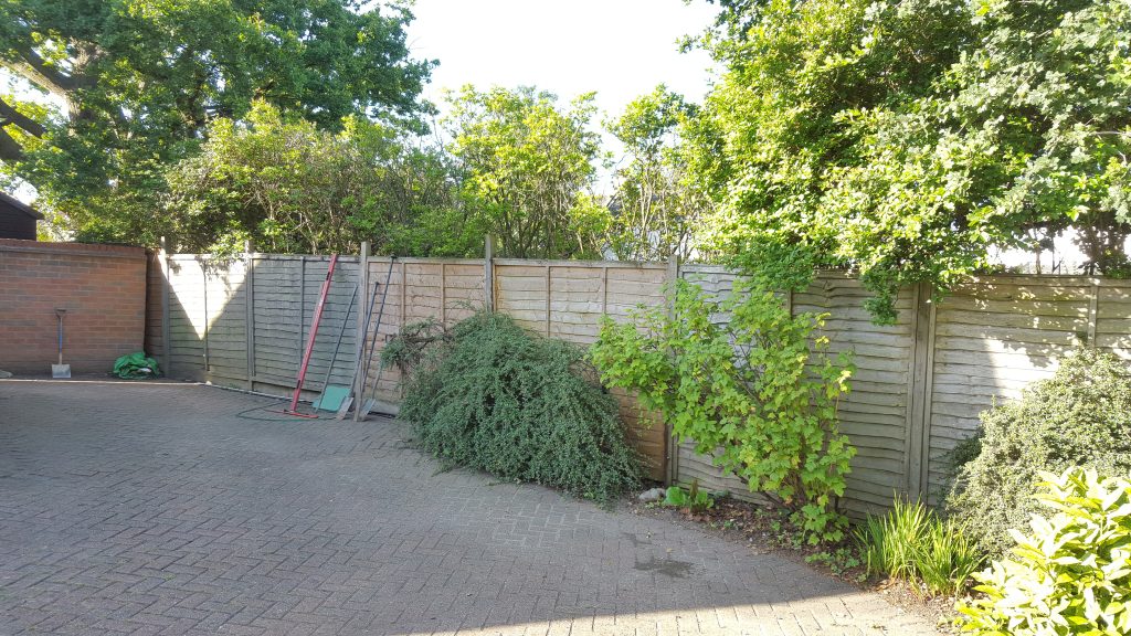 potter-street-side-fence-before