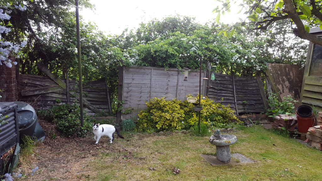 rear-fence-pottersfield-before