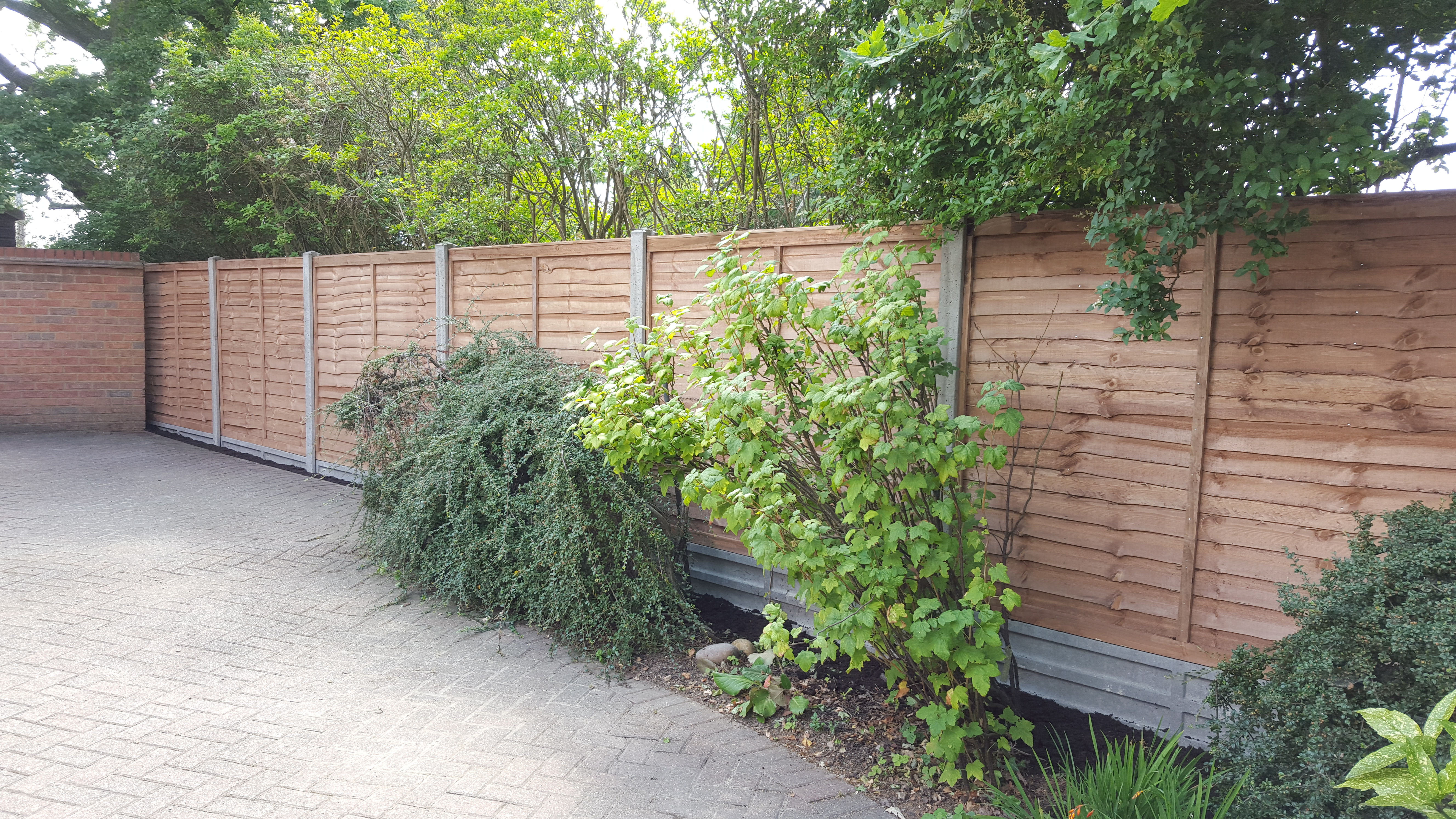 potter-street-side-fence-after